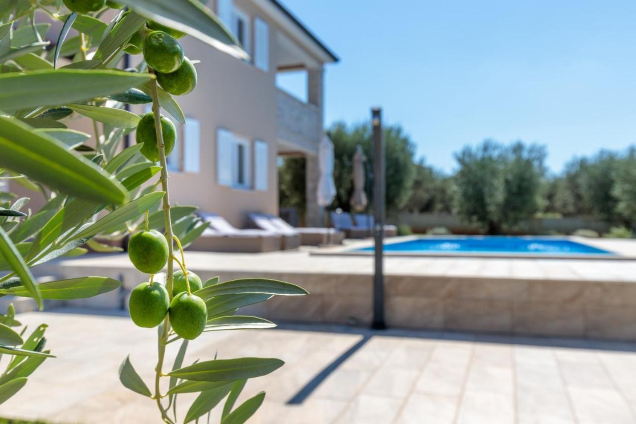Villa Terlevic Selina Exteriér fotografie